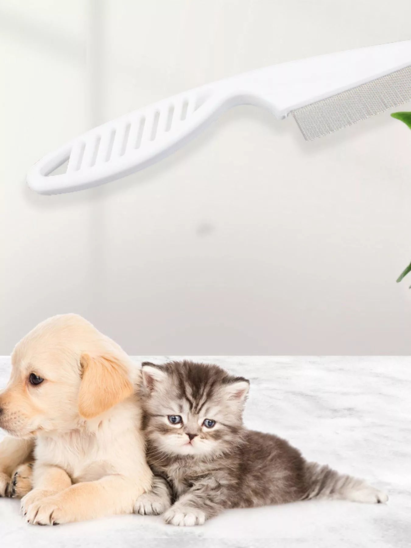 0a321197-e6c0-4c7b-bee8-5cb6578a6b36-Max-Origin