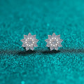 925 Sterling Silver Moissanite Zircon Stud Earrings by Trendsi