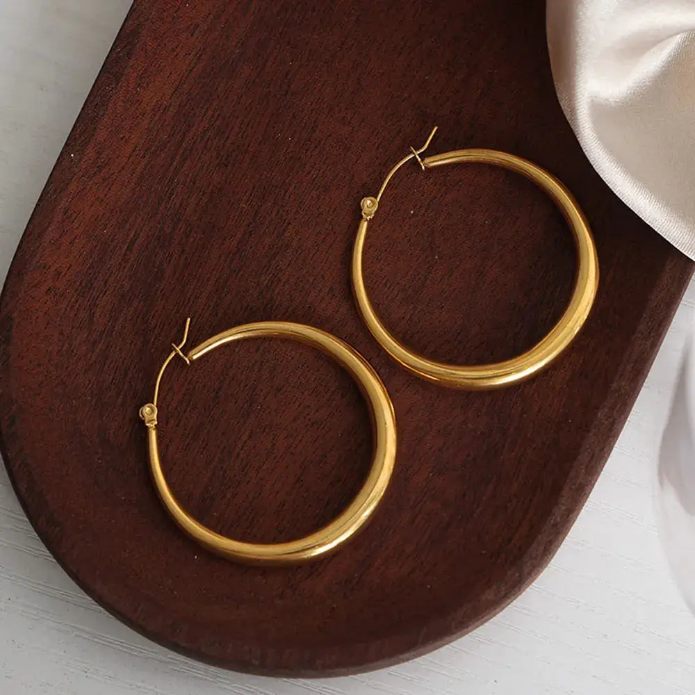 18K Gold-Plated Hoop Earrings by Trendsi