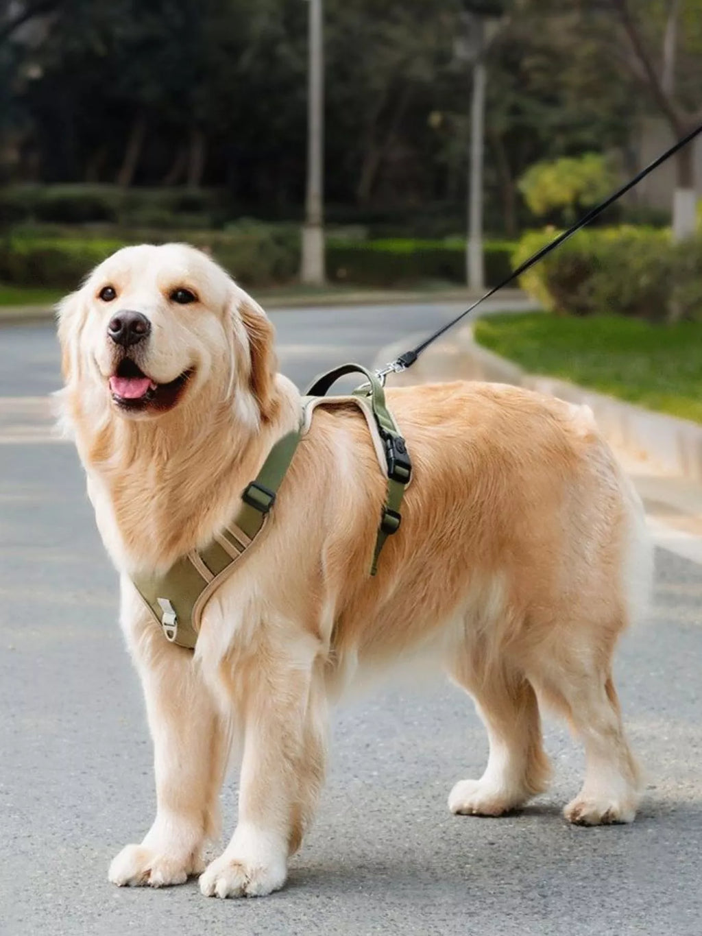 5fef55f6-525c-4d9a-9679-8fcff55130ef-Max-Origin