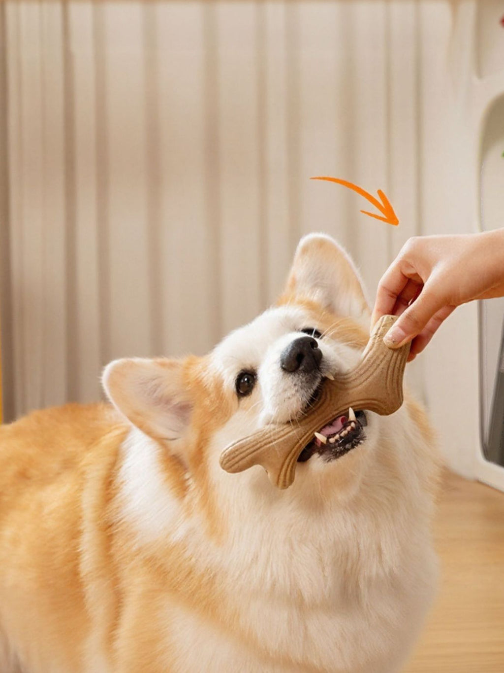 7215fff6-08b4-45a6-8795-07206dbee62f-Max