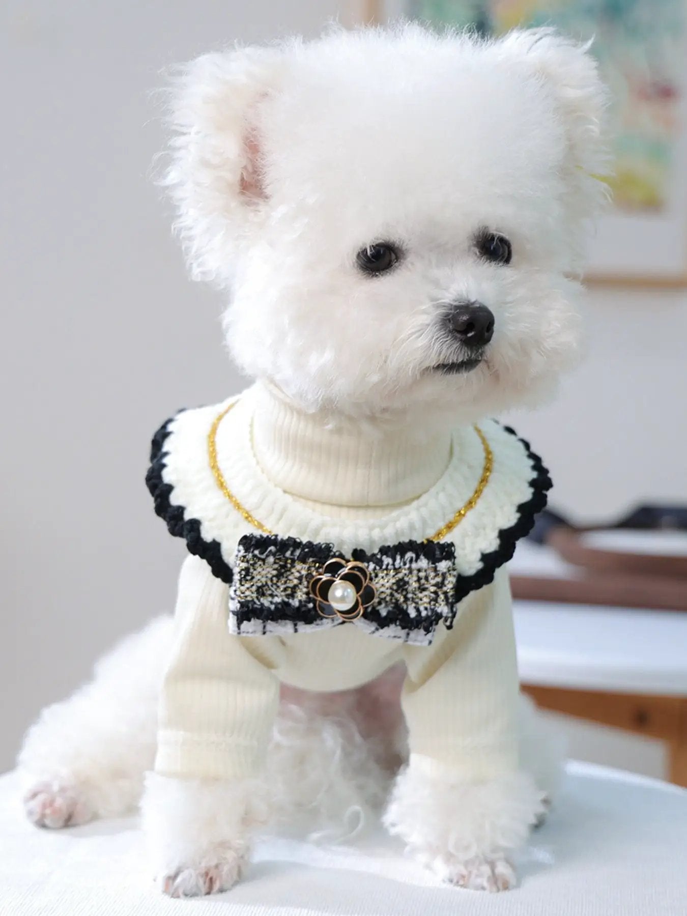 Contrast Pet Scarf by Trendsi