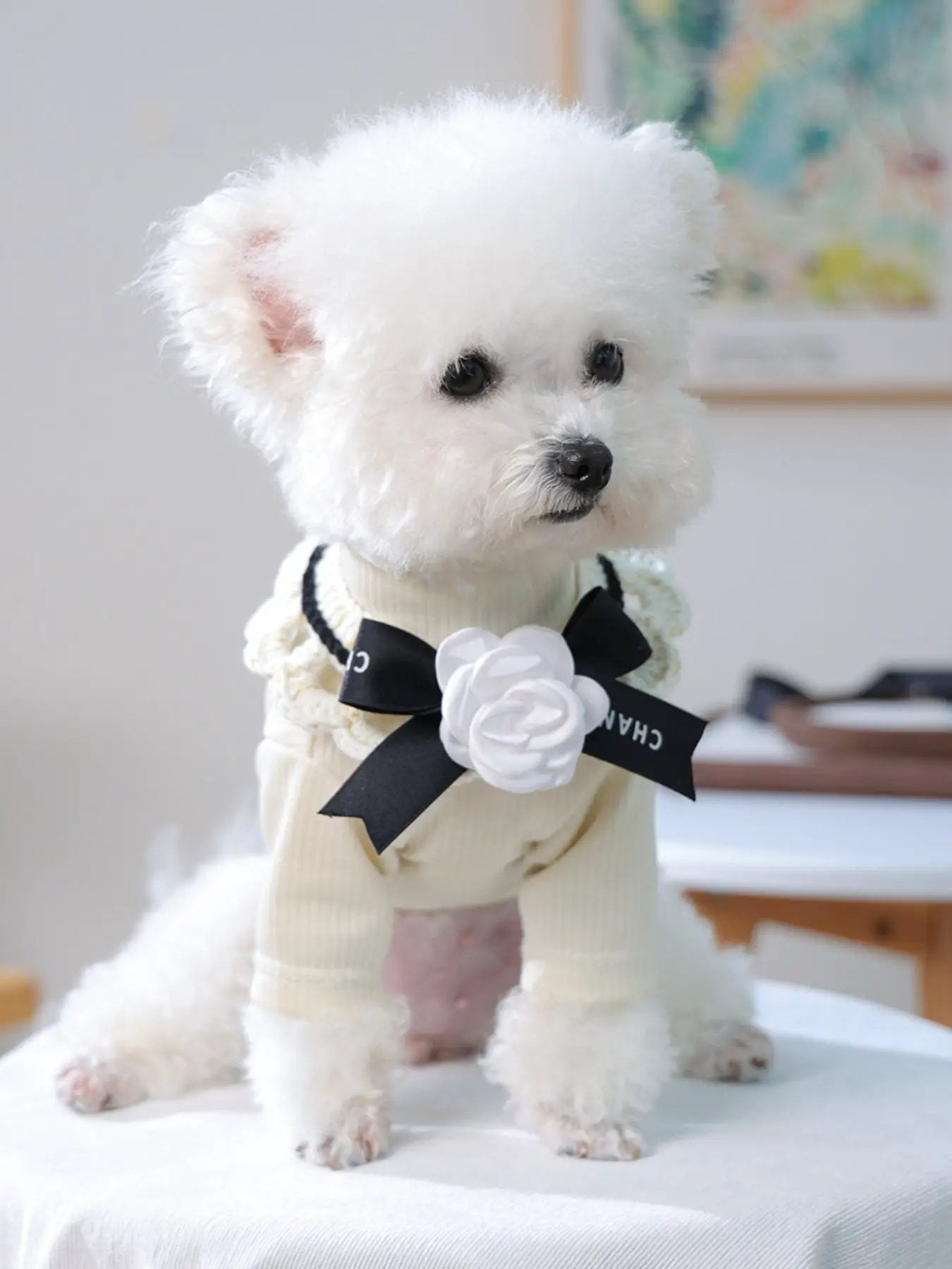 Contrast Pet Scarf by Trendsi